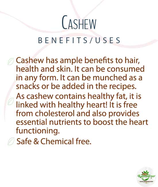 Cashew (Mangalore       Whole)