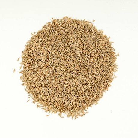 Cumin seed Seeragam 1