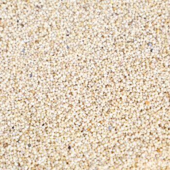 POPPY SEED/KASA KASA