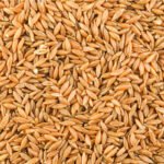 Moongil arisi (Bamboo Rice)