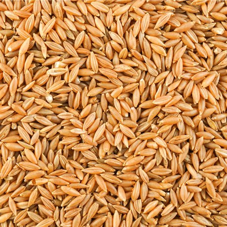 Moongil arisi (Bamboo Rice)