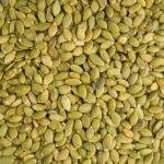 Pumpkin seed 2