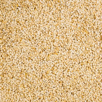 SESAME SEED (WHITE)