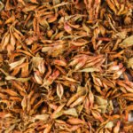 Thathuri Poo (Flower)