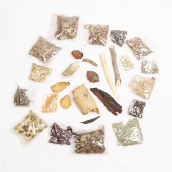 27 SPECIAL HOMA JAMAN SET