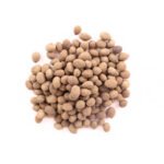 Alinjil seed