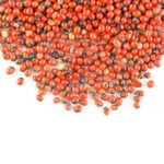 Kundumuthu (RedBlack) 1