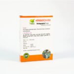 Maavilanga pattai powder