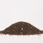 Naththai Soori Vithai 1