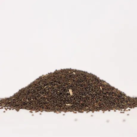 Naththai Soori Vithai 1