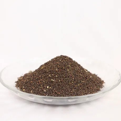 Naththai Soori Vithai