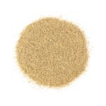 Omam (Bishop Weed) 3