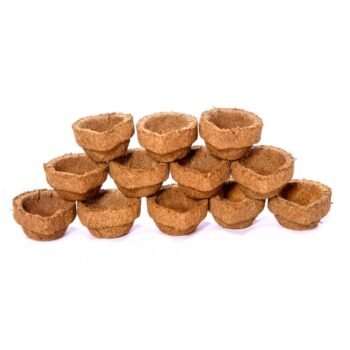PANJA KAVYA VILAKKU (12pc)