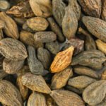 Pinju Kadukkai (Ink Nut) 3