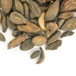 Pinju Kadukkai (Ink Nut) 3