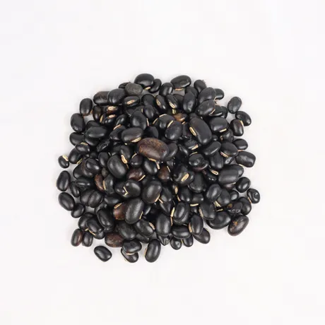 Poonaikkali vidhai 2