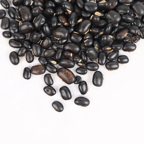 Poonaikkali vidhai 3