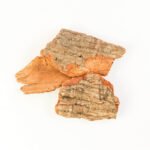 Thirumanjana Pattai 2