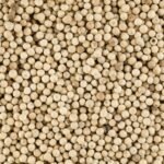 White pepper Vellai milagu 1