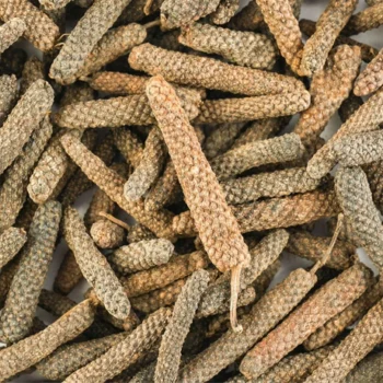 YANAI THIPPILI / THIPPILI